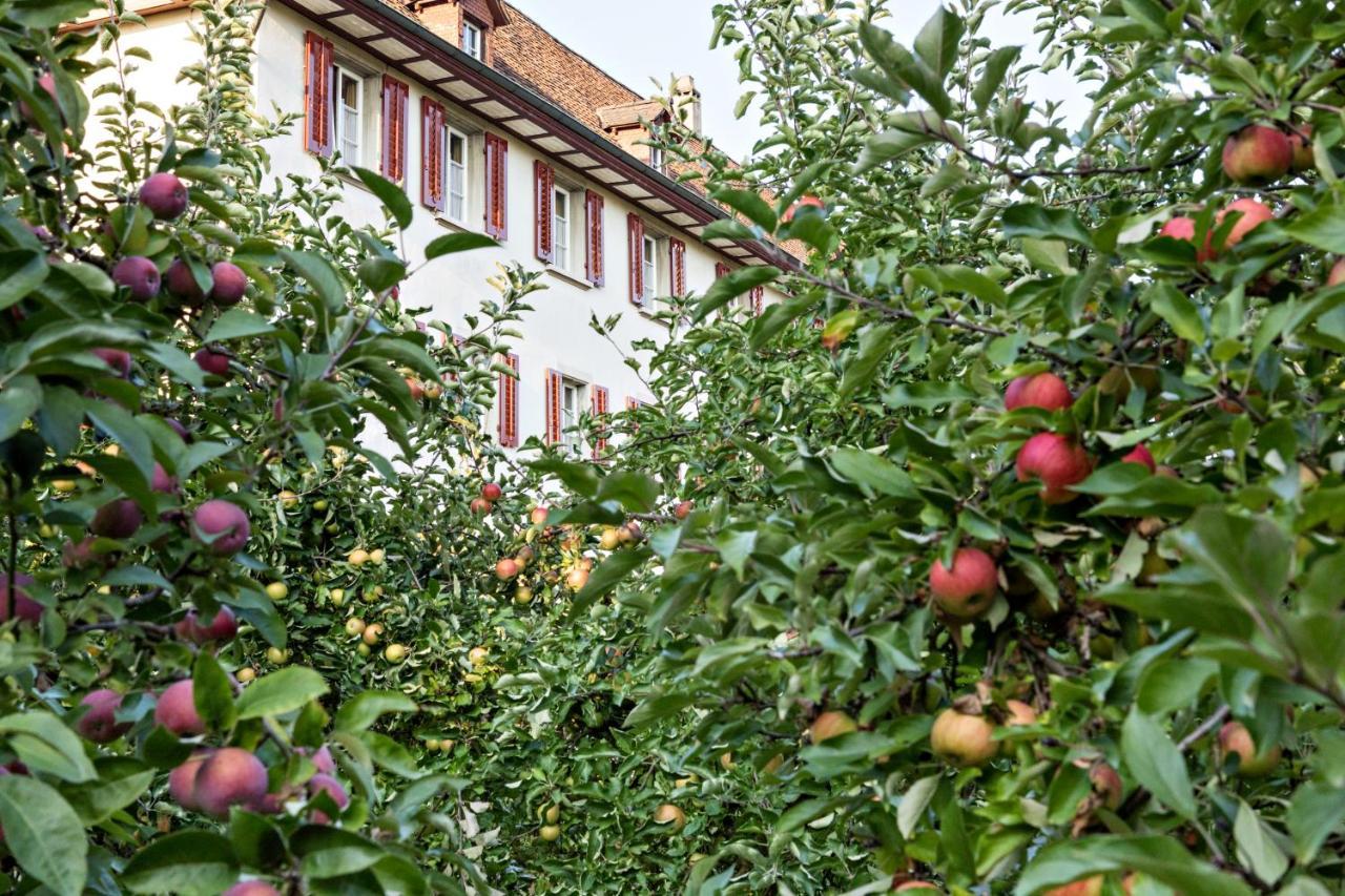 Penzion Kloster / Basel